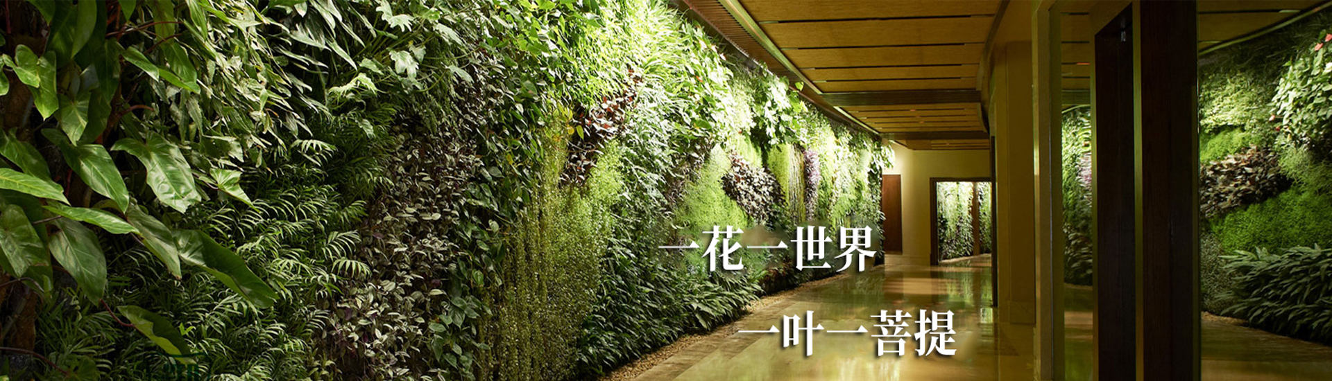 植物墙-绿植墙