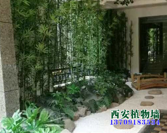 西安室内植物墙植物应遵守的原则及方法